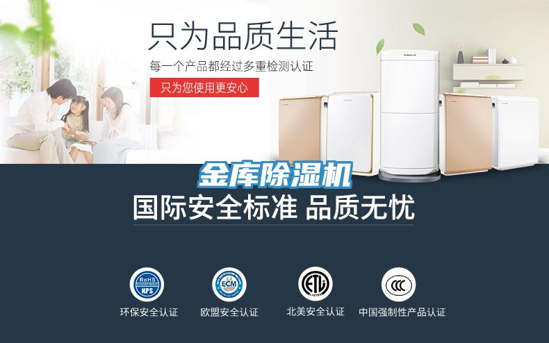 金库91免费网站在线观看