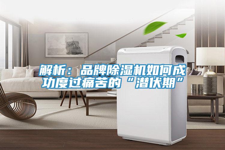 解析：品牌91免费网站在线观看如何成功度过痛苦的“潜伏期”