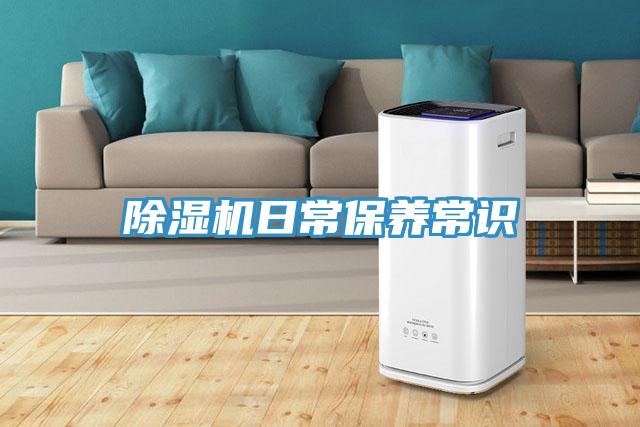 91免费网站在线观看日常保养常识