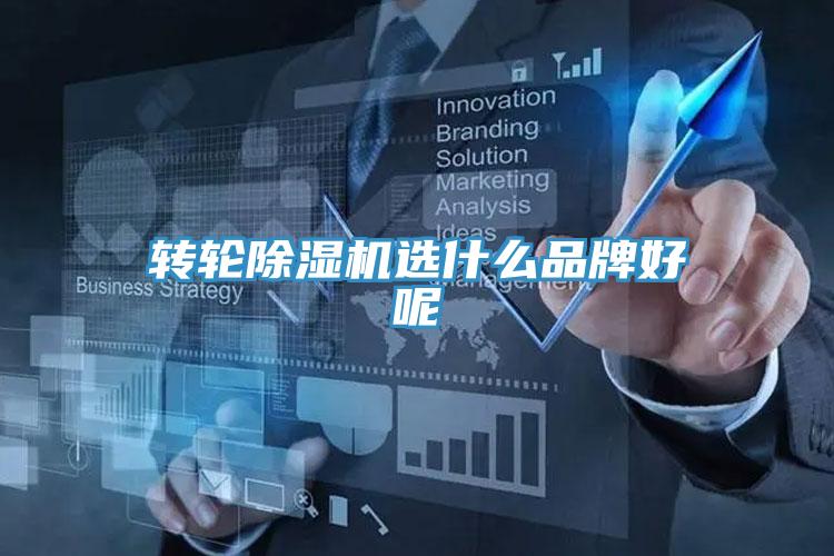 转轮91免费网站在线观看选什么品牌好呢