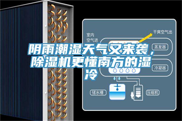 阴雨潮湿天气又来袭，91免费网站在线观看更懂南方的湿冷
