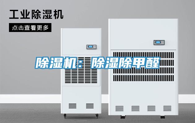 91免费网站在线观看：除湿除甲醛