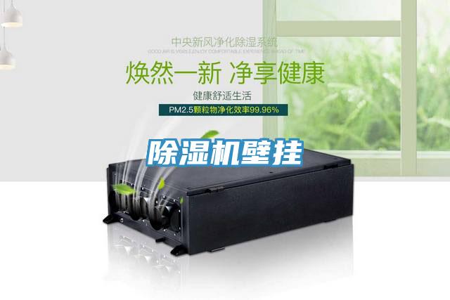 91免费网站在线观看壁挂