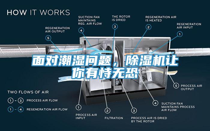 面对潮湿问题，91免费网站在线观看让你有恃无恐