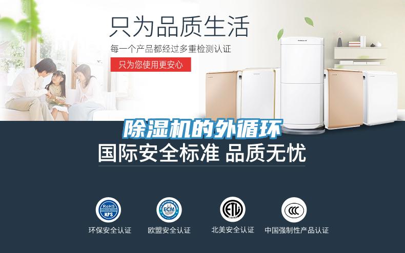 91免费网站在线观看的外循环