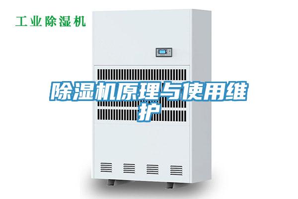 91免费网站在线观看原理与使用维护