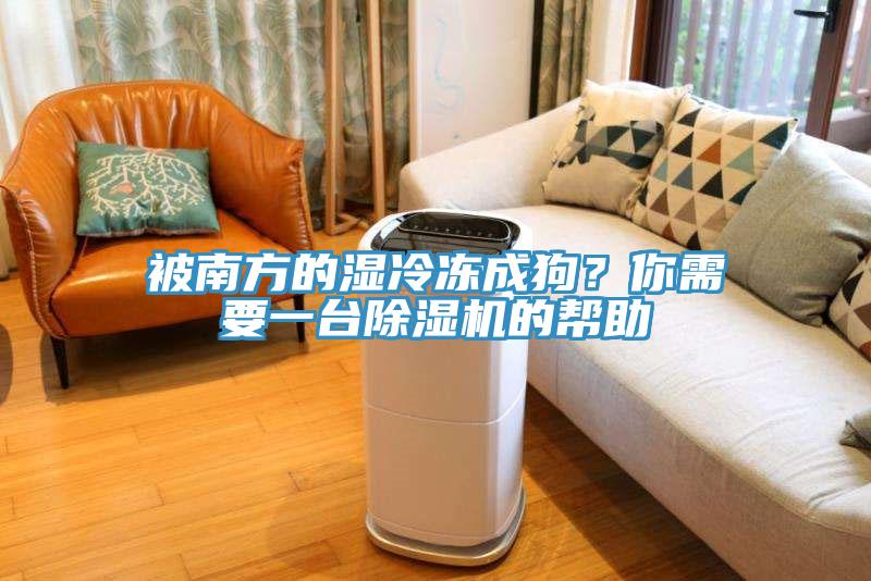 被南方的湿冷冻成狗？你需要一台91免费网站在线观看的帮助