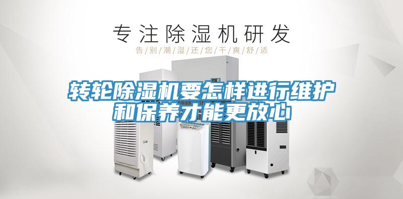 转轮91免费网站在线观看要怎样进行维护和保养才能更放心