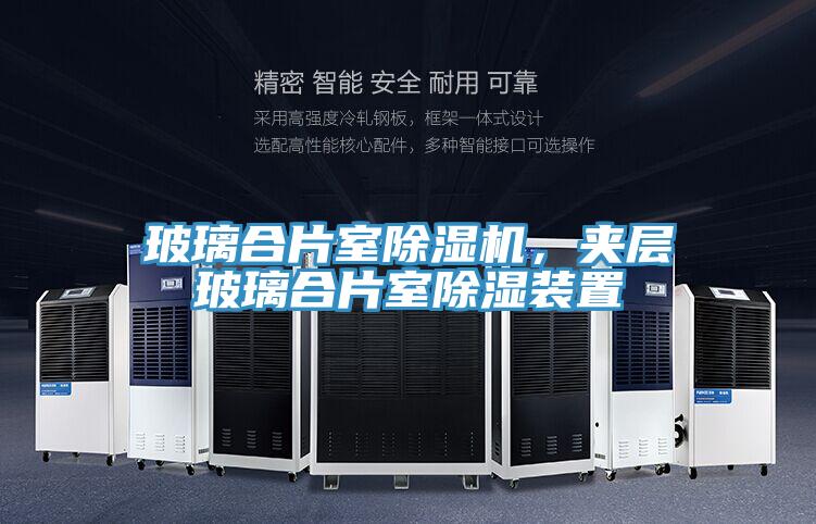 玻璃合片室91免费网站在线观看，夹层玻璃合片室除湿装置