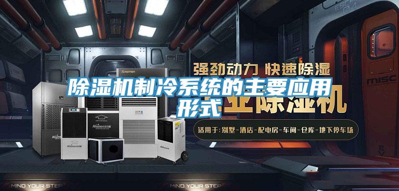91免费网站在线观看制冷系统的主要应用形式