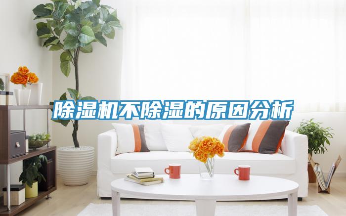 91免费网站在线观看不除湿的原因分析
