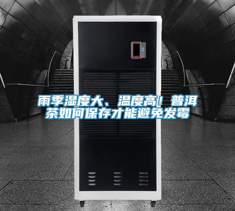 雨季湿度大、温度高！普洱茶如何保存才能避免发霉