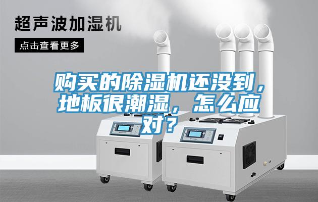 购买的91免费网站在线观看还没到，地板很潮湿，怎么应对？