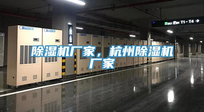 91免费网站在线观看厂家，杭州91免费网站在线观看厂家