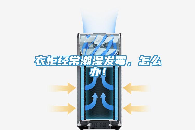衣柜经常潮湿发霉，怎么办！