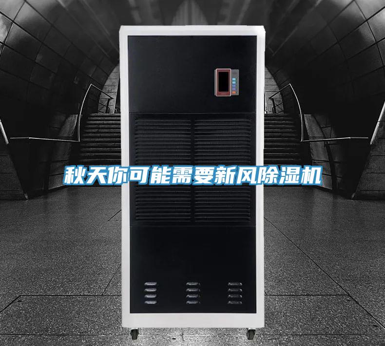 秋天你可能需要新风91免费网站在线观看