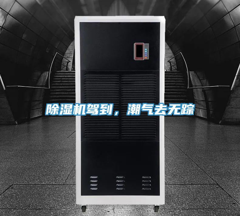 91免费网站在线观看驾到，潮气去无踪