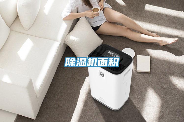 91免费网站在线观看面积