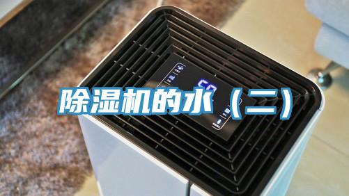 91免费网站在线观看的水（二）