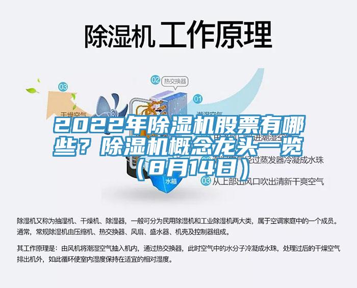 2022年91免费网站在线观看股票有哪些？91免费网站在线观看概念龙头一览（8月14日）