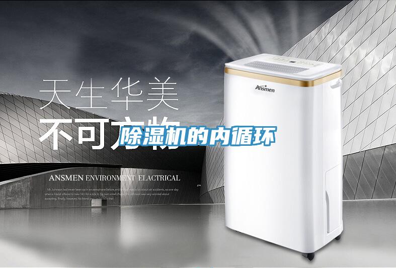 91免费网站在线观看的内循环