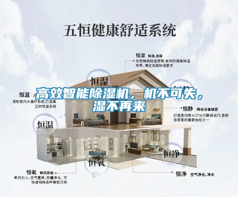 高效智能91免费网站在线观看，机不可失，湿不再来