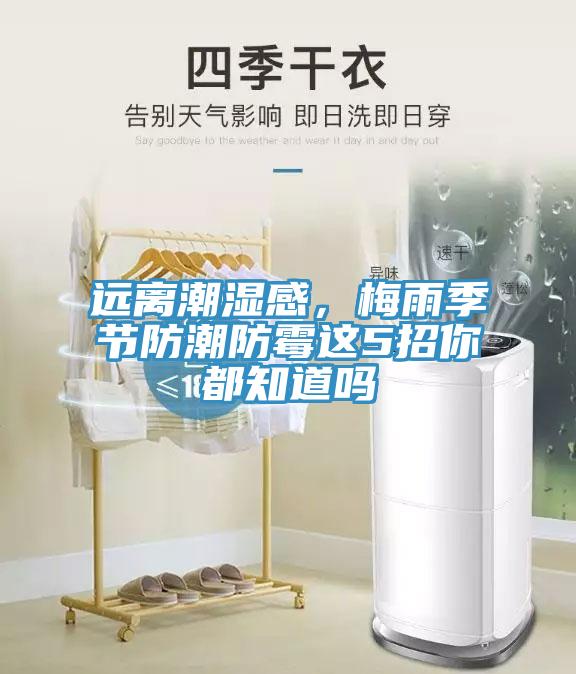 远离潮湿感，梅雨季节防潮防霉这5招你都知道吗
