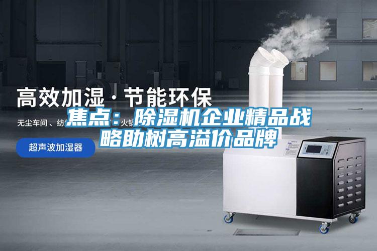 焦点：91免费网站在线观看企业精品战略助树高溢价品牌