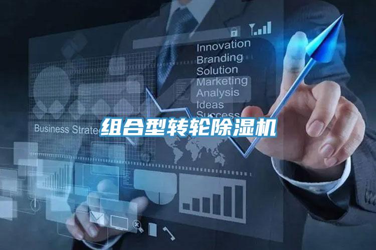 组合型转轮91免费网站在线观看