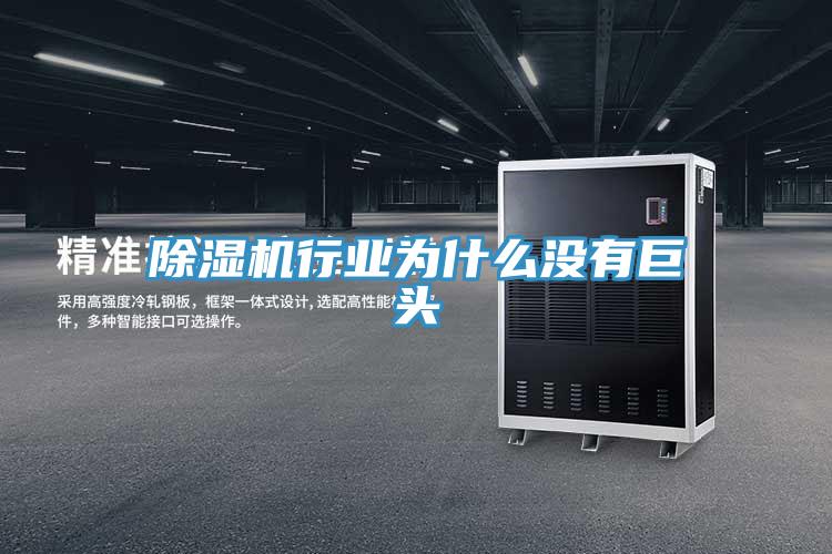 91免费网站在线观看行业为什么没有巨头