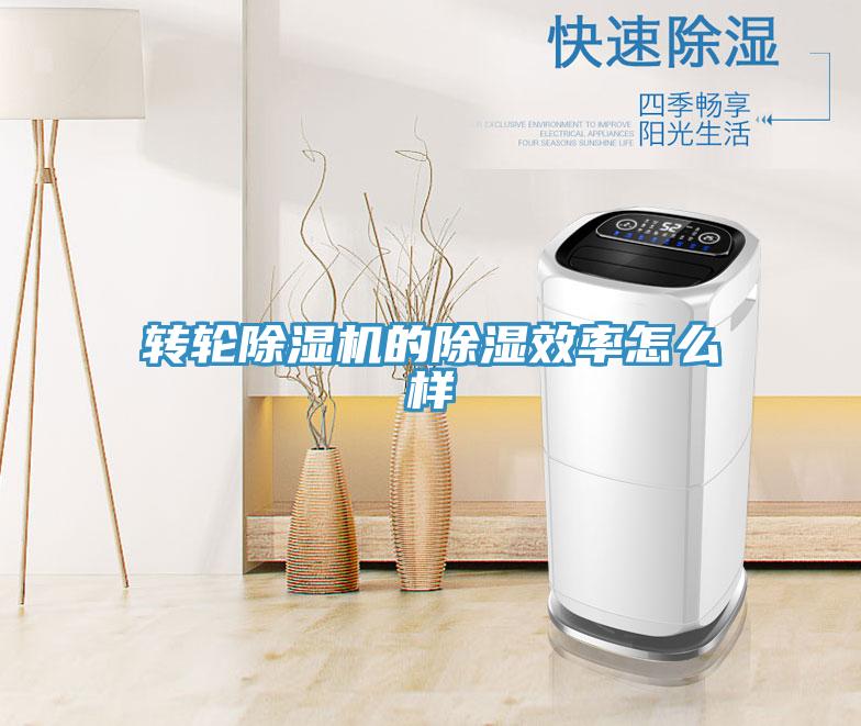 转轮91免费网站在线观看的除湿效率怎么样