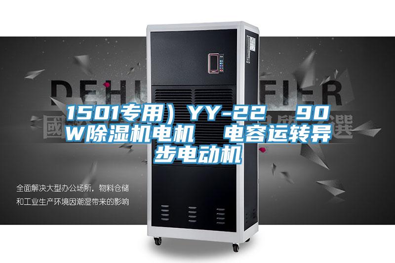 1501专用）YY-22  90W91免费网站在线观看电机  电容运转异步电动机