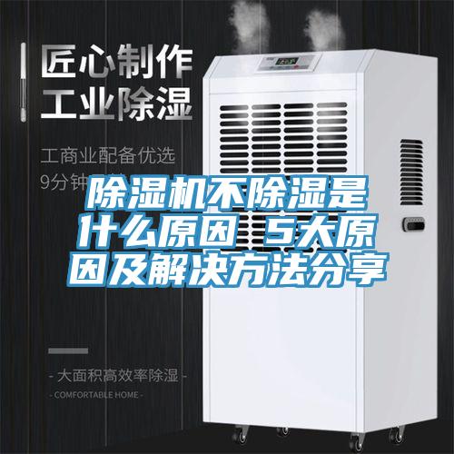 91免费网站在线观看不除湿是什么原因 5大原因及解决方法分享