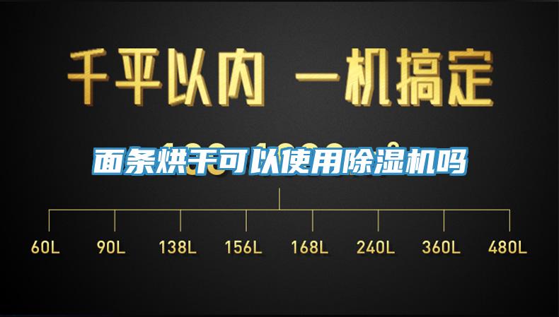 面条烘干可以使用91免费网站在线观看吗