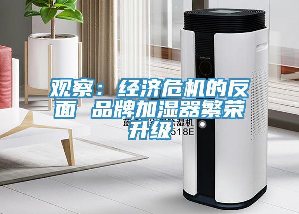 观察：经济危机的反面 品牌加湿器繁荣升级