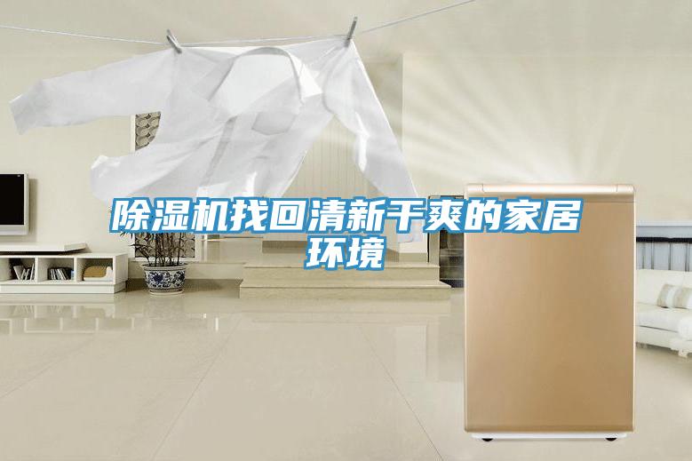 91免费网站在线观看找回清新干爽的家居环境