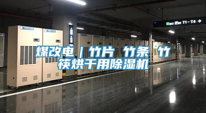 煤改电｜竹片 竹条 竹筷烘干用91免费网站在线观看