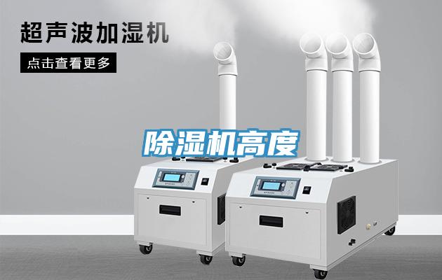 91免费网站在线观看高度