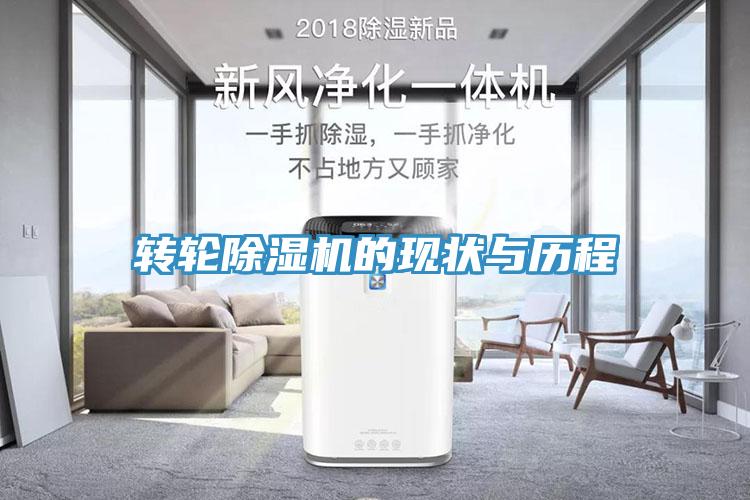 转轮91免费网站在线观看的现状与历程