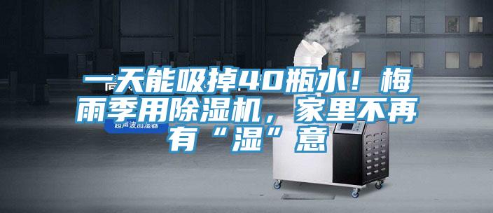 一天能吸掉40瓶水！梅雨季用91免费网站在线观看，家里不再有“湿”意