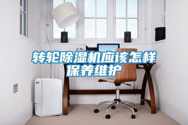 转轮91免费网站在线观看应该怎样保养维护
