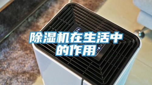 91免费网站在线观看在生活中的作用