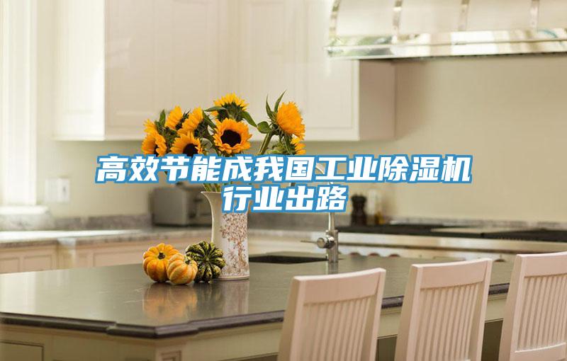 高效节能成我国工业91免费网站在线观看行业出路