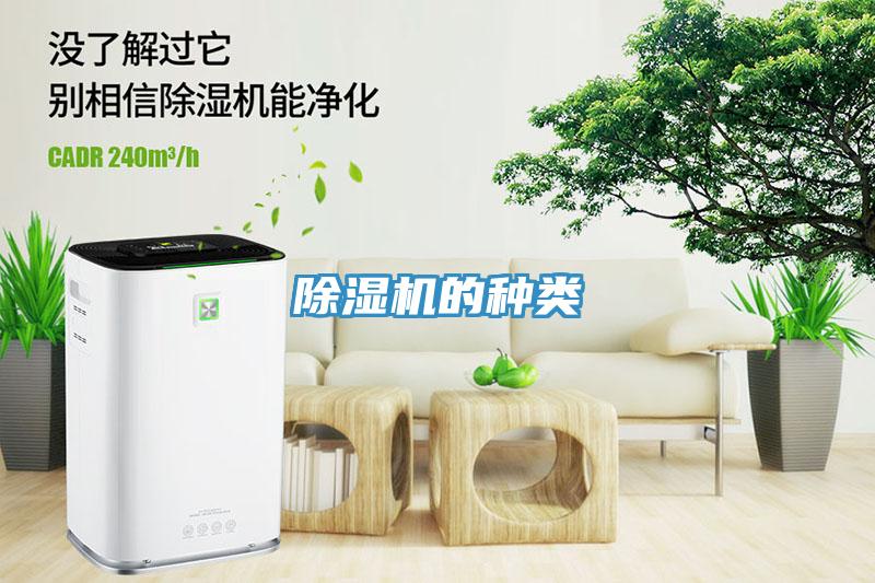 91免费网站在线观看的种类