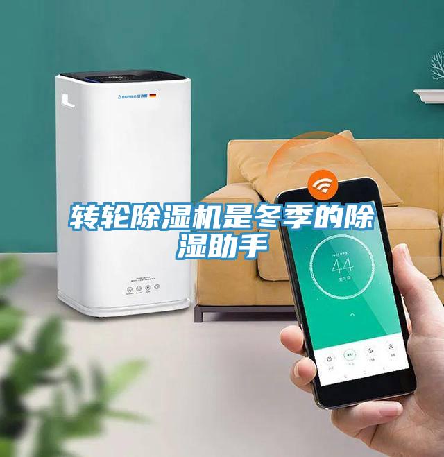 转轮91免费网站在线观看是冬季的除湿助手