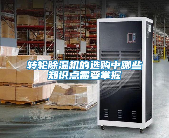 转轮91免费网站在线观看的选购中哪些知识点需要掌握
