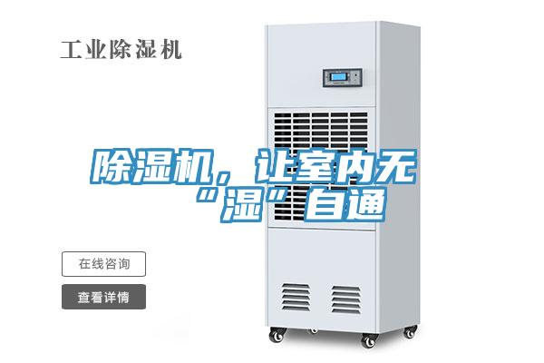 91免费网站在线观看，让室内无“湿”自通