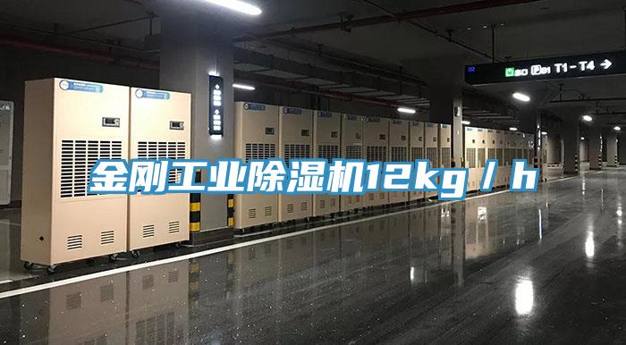金刚工业91免费网站在线观看12kg／h