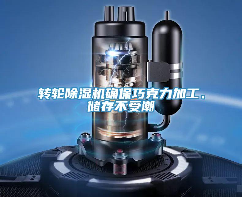 转轮91免费网站在线观看确保巧克力加工、储存不受潮