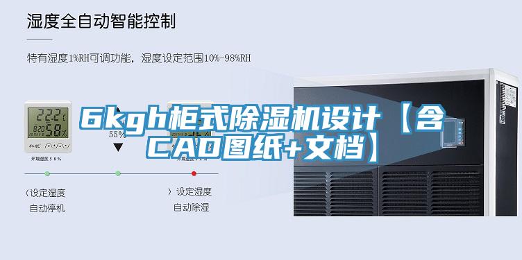 6kgh柜式91免费网站在线观看设计【含CAD图纸+文档】